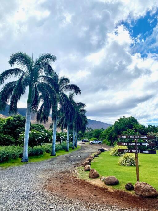 Campervan/Maui Hosted By Go Camp Maui Kihei Exterior photo